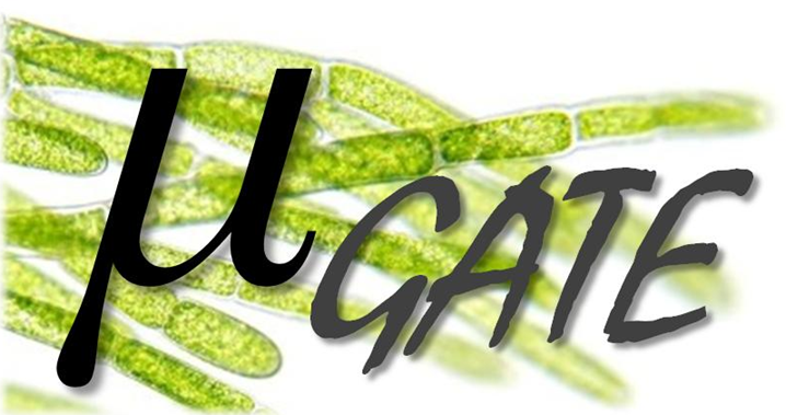 microgate