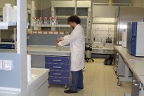 lab-rozzi.jpg